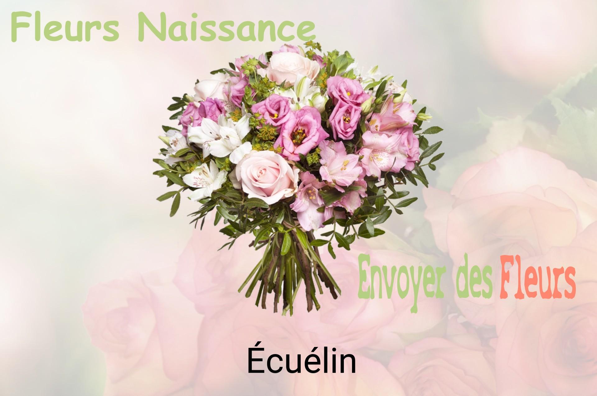 Bouquet de fleurs de naissance livré à Écuélin